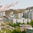 부동산 공경매 기초 네이버블로그