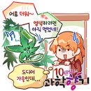 알록달록 이미지