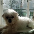 현리한의원 이미지