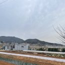 소호관기로 이미지