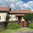 스테이장유7 이미지