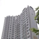 봉담튼튼정형외과의원 Daum카페