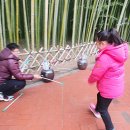 광장민속 이미지