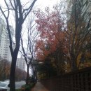 성누가의원 이미지