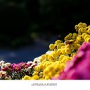 종이나라 공작소 이미지