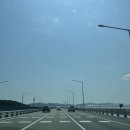 해골피자 - 강남구 테헤란로6길 46 | 해골피자