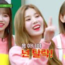 구의복싱 이미지