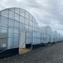 정치농장 이미지