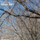 계룡장수요양병원 이미지