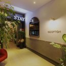 스테이미타스야 이미지