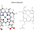 함께오래동물병원 이미지