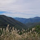 제일사슴농장 이미지