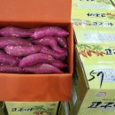 명지농장 이미지