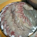 이순신광장로 | 여수 이순신광장 횟집 [여수찬] | 현지인도 줄 서는 모둠회 내돈내산 솔직후기