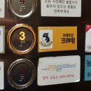 토당로 | 파충류샵 크레윙 고양 능곡점에서 크레스티드 게코 분양받은 후기