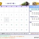 십리포힐링카라반 이미지