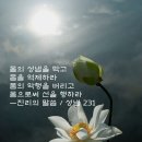 남전 법구경 이야기,풀이,시조단상]54,55 이미지