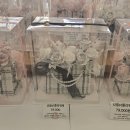 제주가원 이미지