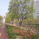 화정천1 이미지