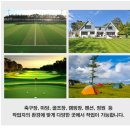 수원-0980 | 탑승식 잔디깍는기계 50인치 승용식 월드잔디깍기 납품
