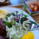 당촌리카메 이미지