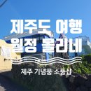 월정몰리네 | [제주] 월정 몰리네 소품샵에서 제주도 선물 샀어요