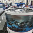 바다를 품은 보성회센타 이미지