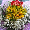 골드라벨 이미지