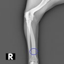 동물병원 앞 이미지