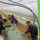 간척1리 이미지