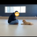 똑독트레이닝스쿨 이미지