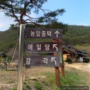 농암종택 앞 공중화장실 | [경북 안동숙소] 612년 안동 고택 숙소, 농암종택 강각(예약 및 숙박후기)