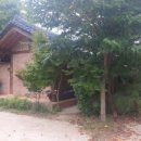 당산나무민박 이미지