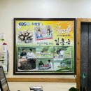 낮엔올갱이밤엔과메기