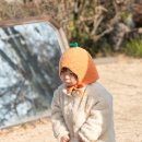 JJ농장 | 겨울 제주 아이와 귤따기체험 보내다제주 방문기, 포토존 가득한 감귤체험농장