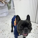 도기다이닝 이미지