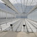 순창체육관 | 겨울철 난방비 반토막? 순창 딸기 시범포 비닐하우스...비밀 / 순창 농기술센터 스마트팜난방기 설치 후기