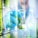 한국바이오 이미지