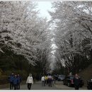 온천지 이미지