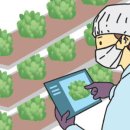 송준호농장 이미지