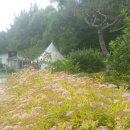 한바람이 이미지