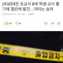 [속보]대전 초교서 8세 학생·교사 흉기에 찔린채 발견…여아는 숨져 이미지