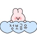 픽스칼프