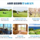 알파골프 이미지