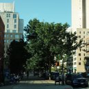 마음을여는풍경민박 | 뉴욕 여행 한인 민박 &#39;📍수미가&#39; 실제 숙박 후기·위치·만족도 공유 / 뉴욕 업타운 숙소 추천 / 뉴욕...