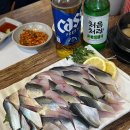 천수 | 잠실새내 횟집 천수횟집 내돈내산 후기ㅣ잠실 전어회ㅣ전어 포