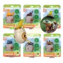 케이앤제이 이미지