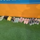 인헌동-8 이미지