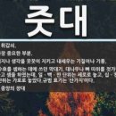 줏대 없는 년... 이미지