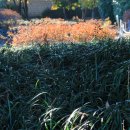 김해수로왕릉 이미지